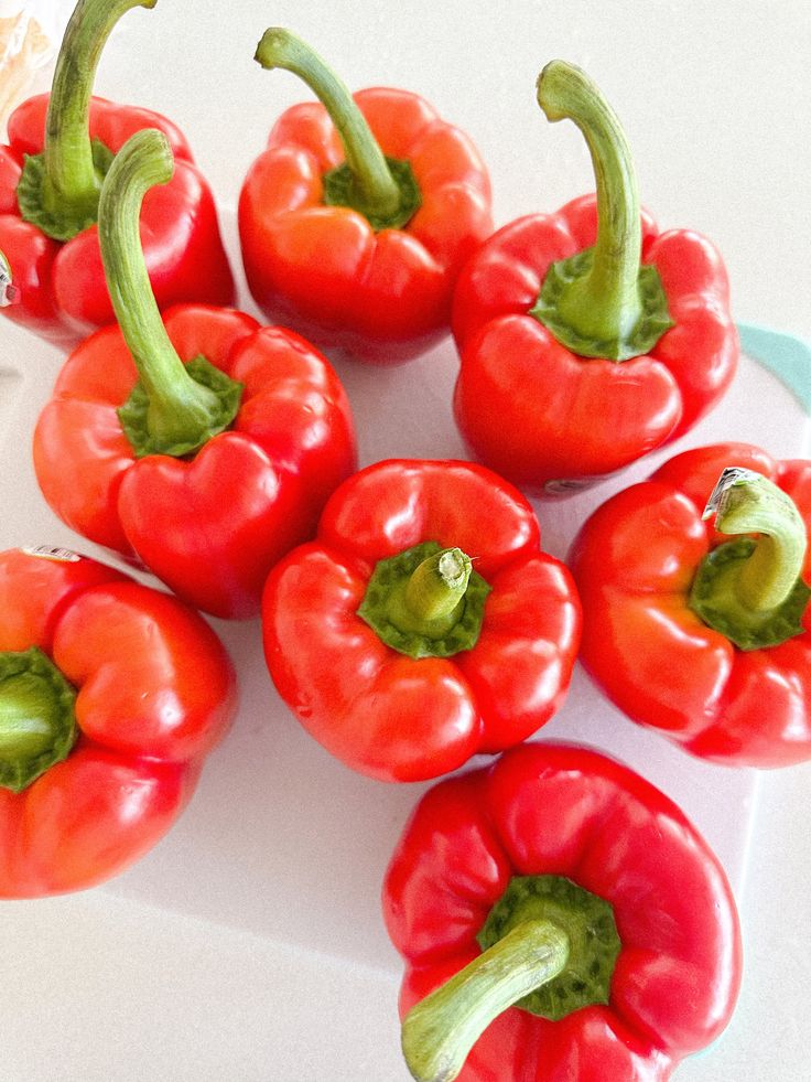 قیمت فلفل دلمهای صادراتی