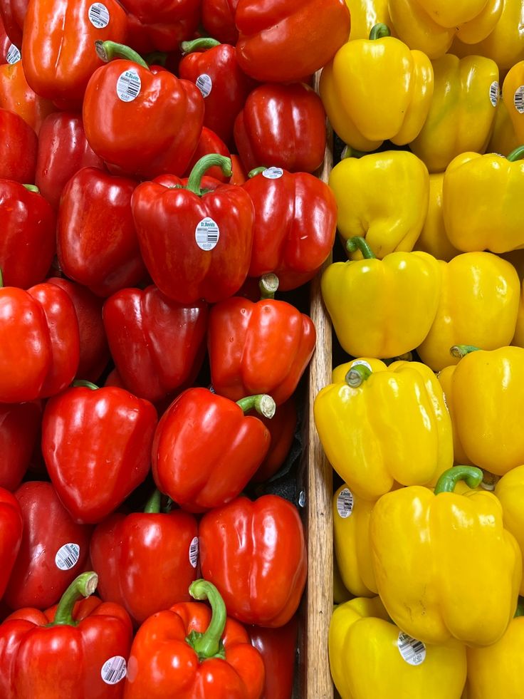 فلفل دلمه صادراتی فلفل دلمه‌ای رنگی صادراتی