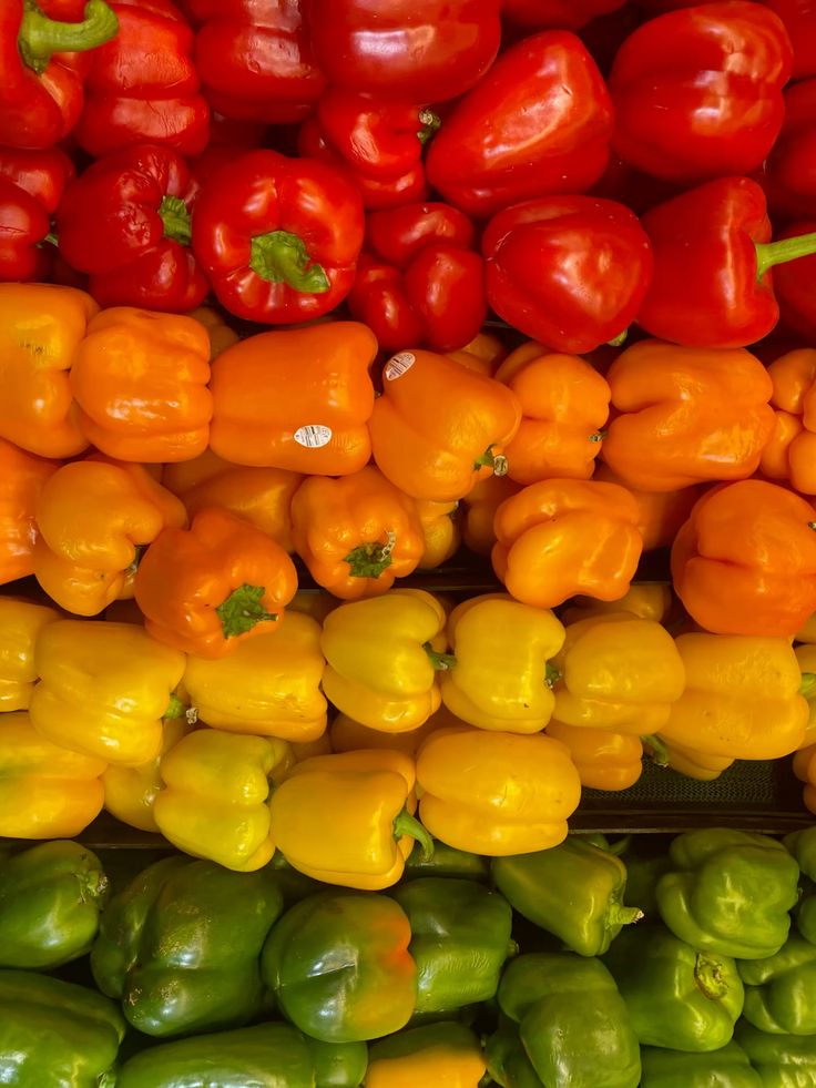 بسته بندی فلفل دلمه‌ای رنگی صادراتی قیمت فلفل دلمه‌ای صادراتی