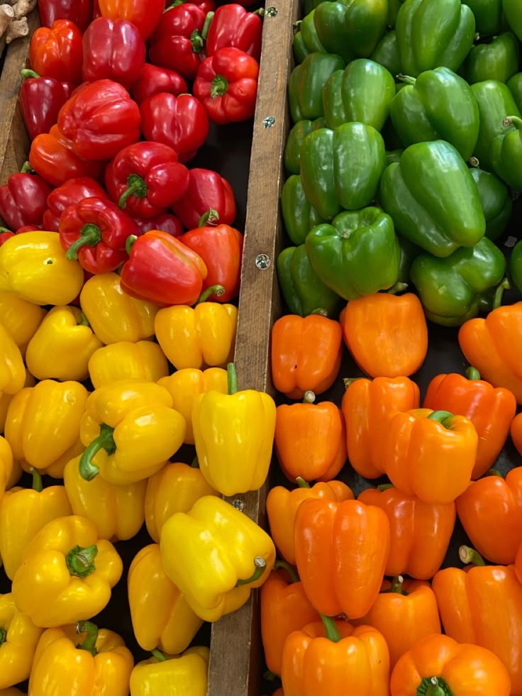 فلفل دلمه‌ای ایرانی